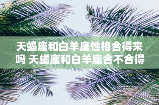 天蝎座和白羊座性格合得来吗 天蝎座和白羊座合不合得来