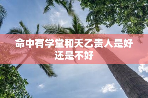 命中有学堂和天乙贵人是好还是不好