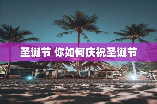 圣诞节 你如何庆祝圣诞节