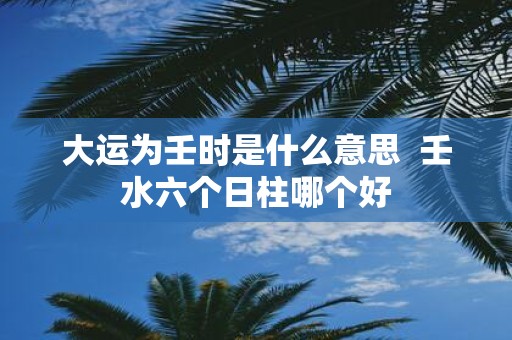 大运为壬时是什么意思 壬水六个日柱哪个好