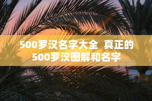 500罗汉名字大全 真正的500罗汉图解和名字
