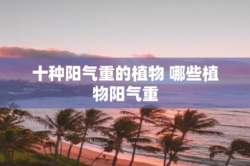 十种阳气重的植物 哪些植物阳气重