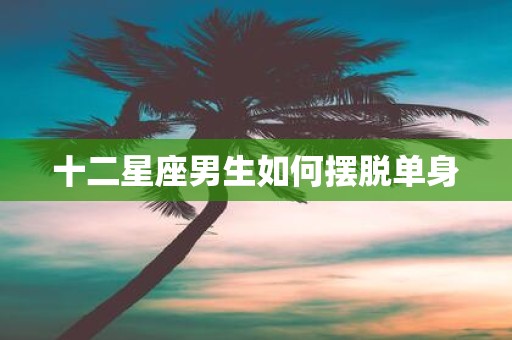 十二星座男生如何摆脱单身