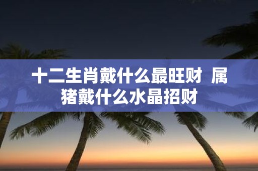 十二生肖戴什么最旺财 属猪戴什么水晶招财