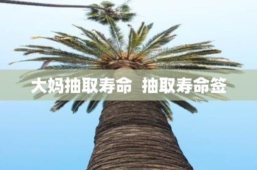 大妈抽取寿命 抽取寿命签