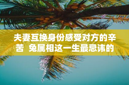夫妻互换身份感受对方的辛苦 兔属相这一生最忌讳的属相