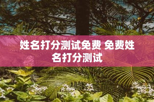 姓名打分测试免费 免费姓名打分测试