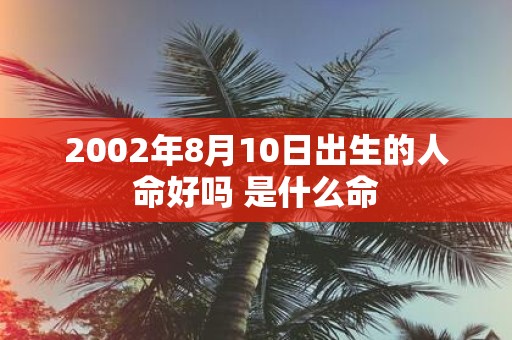 2002年8月10日出生的人命好吗 是什么命