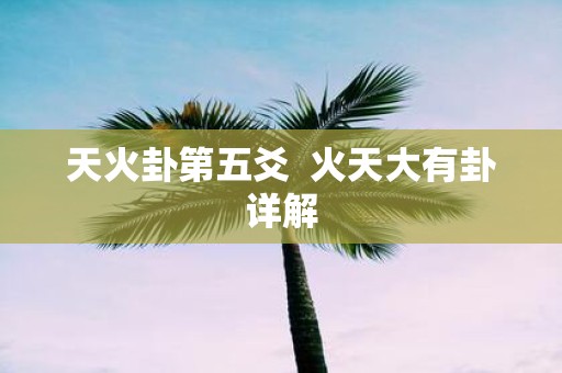 天火卦第五爻 火天大有卦详解