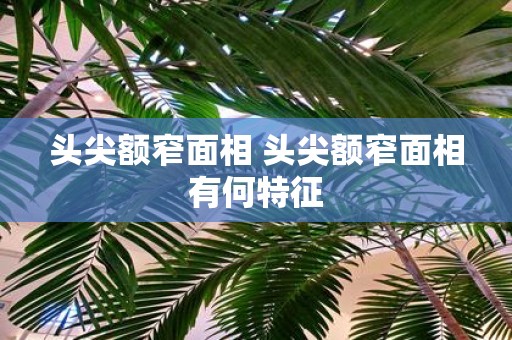 头尖额窄面相 头尖额窄面相有何特征