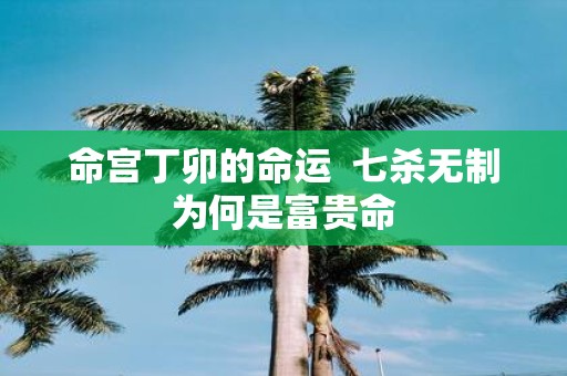 命宫丁卯的命运 七杀无制为何是富贵命