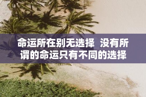 命运所在别无选择 没有所谓的命运只有不同的选择