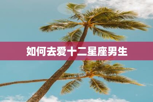 如何去爱十二星座男生