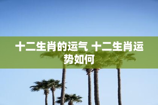十二生肖的运气 十二生肖运势如何