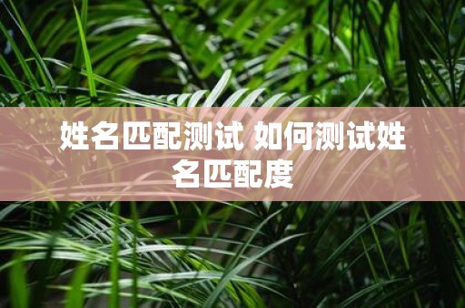 姓名匹配测试 如何测试姓名匹配度