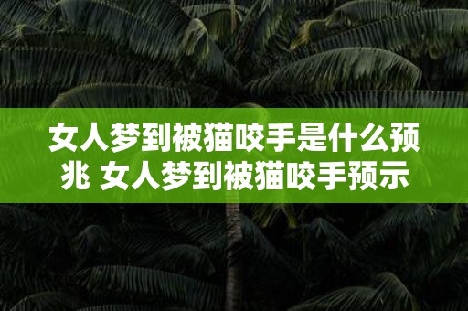 女人梦到被猫咬手是什么预兆 女人梦到被猫咬手预示什么