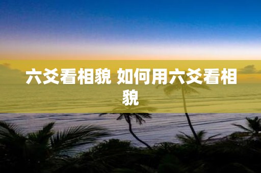 六爻看相貌 如何用六爻看相貌