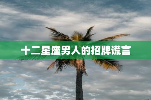 十二星座男人的招牌谎言