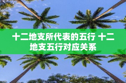 十二地支所代表的五行 十二地支五行对应关系