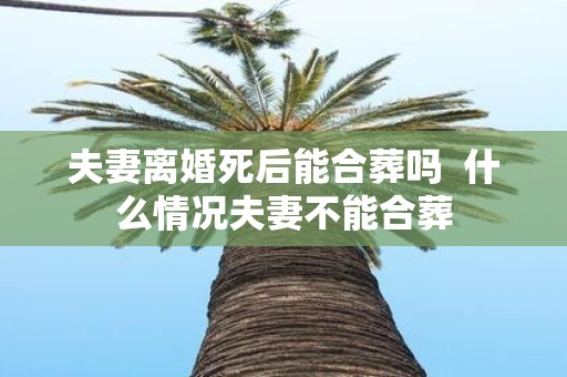 夫妻离婚死后能合葬吗 什么情况夫妻不能合葬