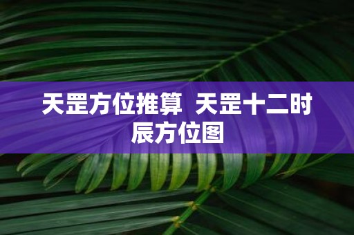 天罡方位推算 天罡十二时辰方位图