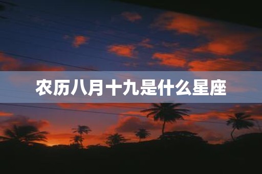 农历八月十九是什么星座