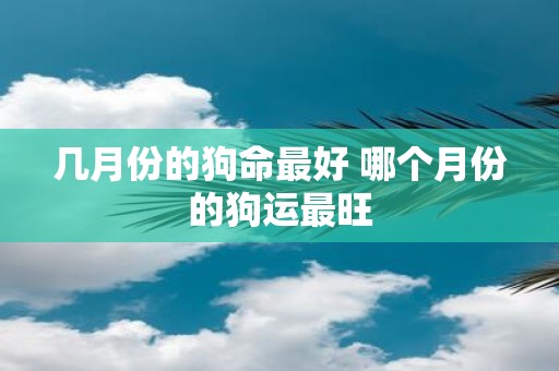 几月份的狗命最好 哪个月份的狗运最旺