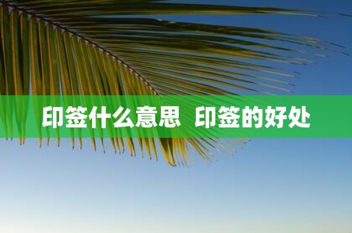 印签什么意思 印签的好处
