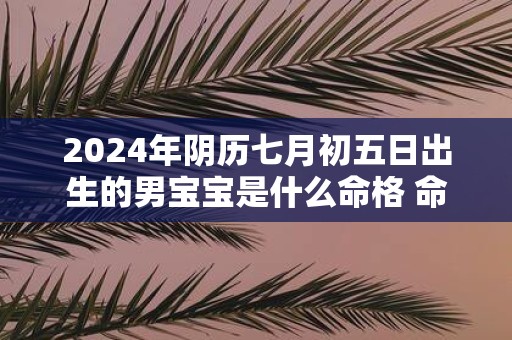 2025年阴历七月初五日出生的男宝宝是什么命格 命运好吗