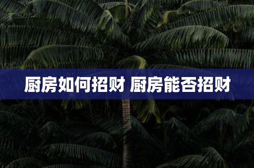 厨房如何招财 厨房能否招财
