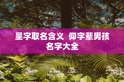 呈字取名含义 仰字辈男孩名字大全