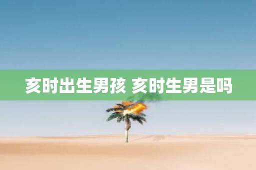 亥时出生男孩 亥时生男是吗
