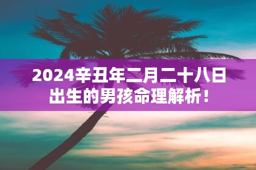 2025辛丑年二月二十八日出生的男孩命理解析！