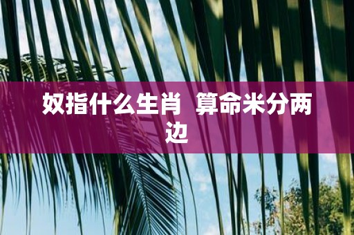 奴指什么生肖 算命米分两边