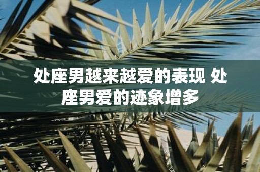 处座男越来越爱的表现 处座男爱的迹象增多
