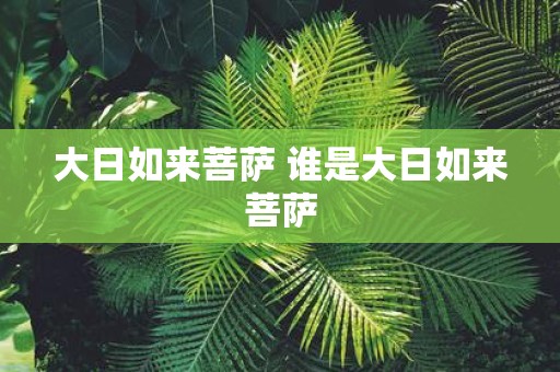 大日如来菩萨 谁是大日如来菩萨