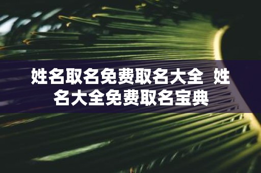 姓名取名免费取名大全 姓名大全免费取名宝典