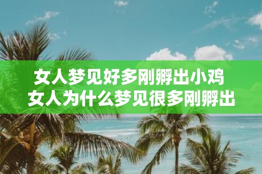 女人梦见好多刚孵出小鸡 女人为什么梦见很多刚孵出的小鸡