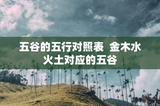 五谷的五行对照表 金木水火土对应的五谷