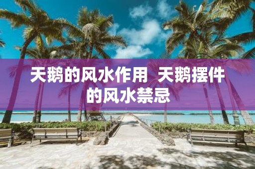 天鹅的风水作用 天鹅摆件的风水禁忌