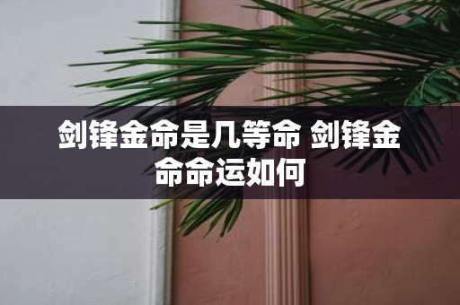 剑锋金命是几等命 剑锋金命命运如何