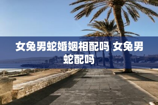 女兔男蛇婚姻相配吗 女兔男蛇配吗