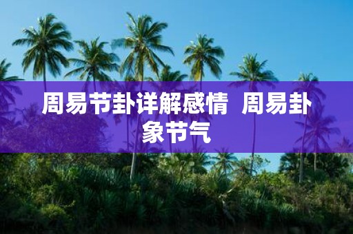周易节卦详解感情 周易卦象节气