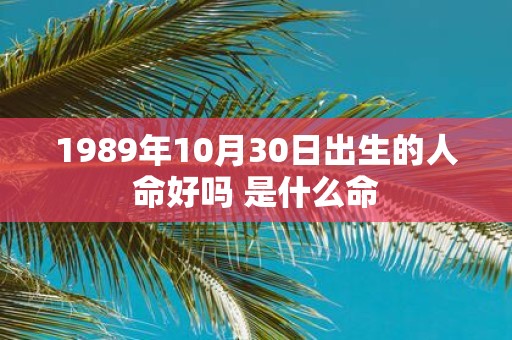 1989年10月30日出生的人命好吗 是什么命