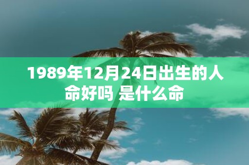 1989年12月24日出生的人命好吗 是什么命