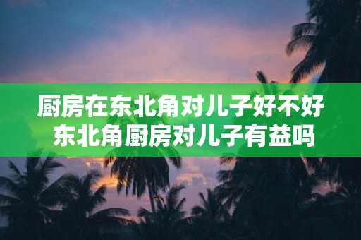 厨房在东北角对儿子好不好 东北角厨房对儿子有益吗