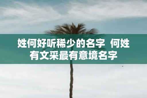 姓何好听稀少的名字 何姓有文采最有意境名字