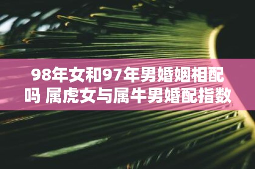 98年女和97年男婚姻相配吗 属虎女与属牛男婚配指数