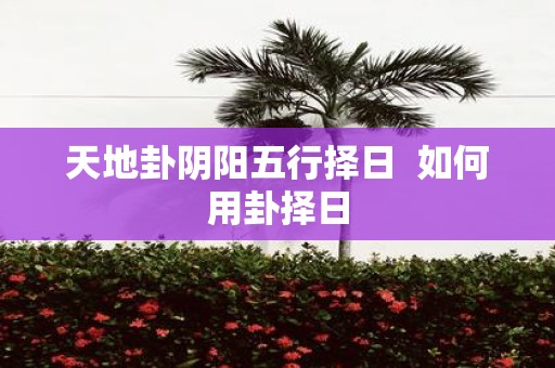 天地卦阴阳五行择日 如何用卦择日