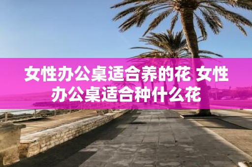 女性办公桌适合养的花 女性办公桌适合种什么花